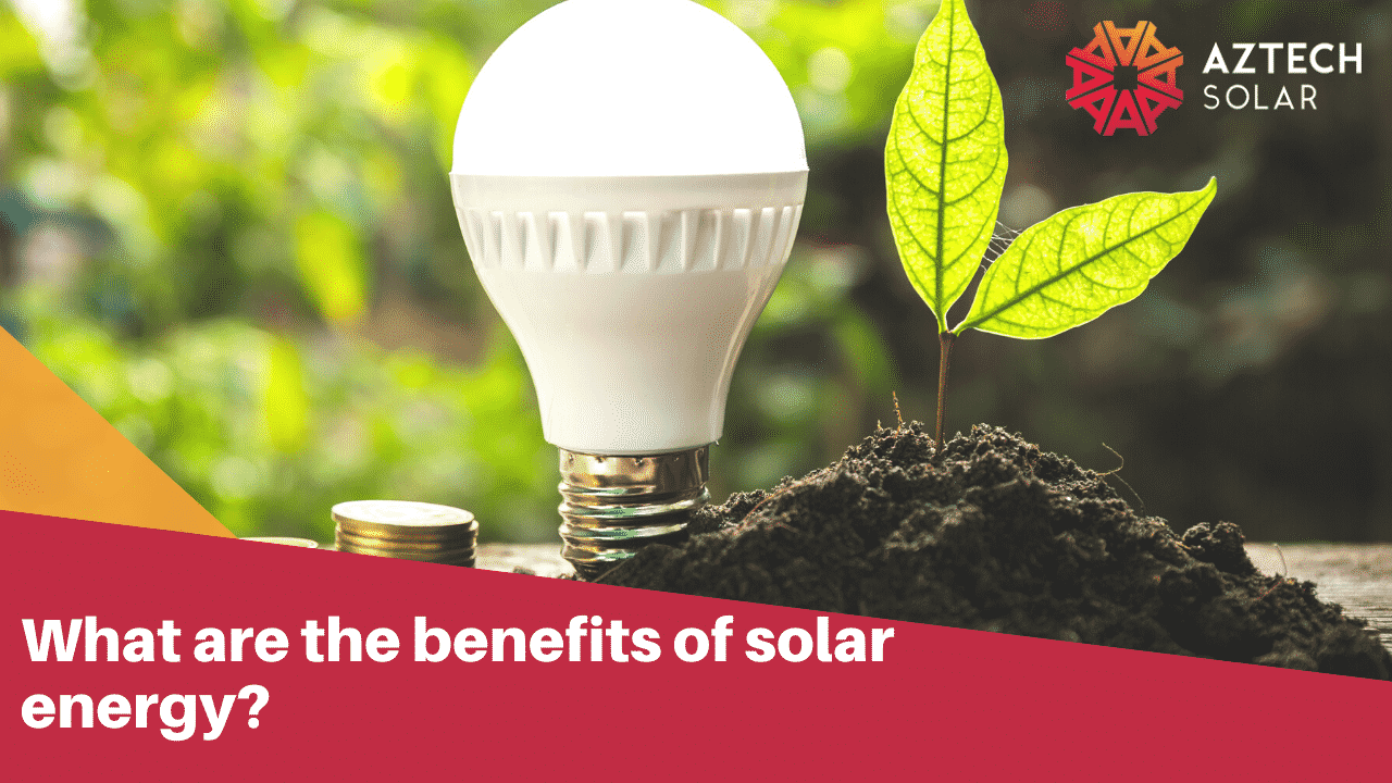 LED bulb, seedling and coins symbolising solar energy benefits